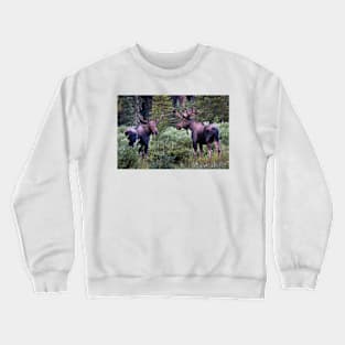 Two Moose Crewneck Sweatshirt
